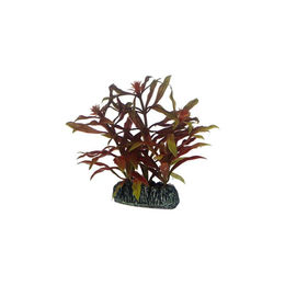 HOBBY Aquariendeko Nesaea künstliche Pflanze 7 cm - 1 Stk. – Bild 1 von 2