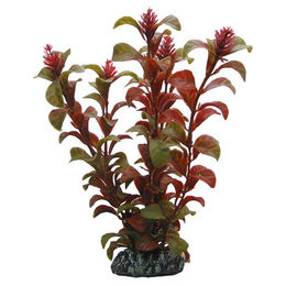 HOBBY Aquariendeko Rotala Kunststoffpflanze 16 cm – Bild 1 von 3