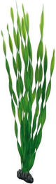 Produktbild von HOBBY Aquariendeko Vallisneria 60 cm Kunststoffpflanze - 1 Stk.