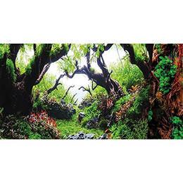 Produktbild von HOBBY Aquarienrückwand Green Dream / Wooden Sky 120 x 50 cm