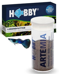 Produktbild von HOBBY Aquaristik Artemia Eier Lebendfutter für Aquarienfische - 20 ml