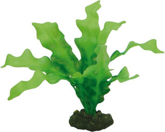 Produktbild von Hobby Aquaristik Echinodrus 20 cm künstliche Aquarienpflanze - 20 cm