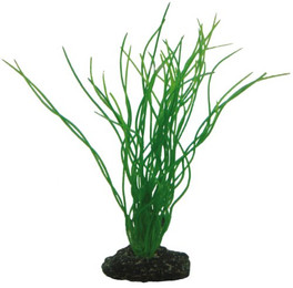 Produktbild von Hobby Aquaristik Sagittaria künstliche Aquarienpflanze 20 cm - 20 cm