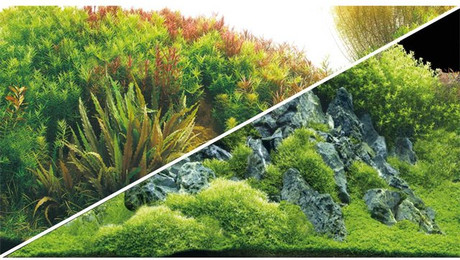 Produktbild von Hobby Aquarium Fotorückwand River / Rocks 100x50 cm