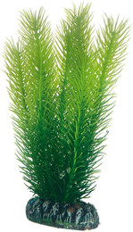 Produktbild von Hobby Aquariumdekoration Mayaca 16 cm - 1 Stk.