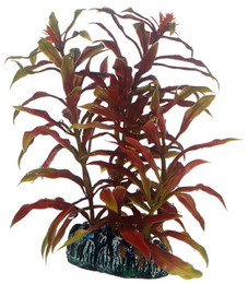 Produktbild von Hobby Aquariumdekoration Nesaea 13 cm
