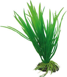 Hobby Cyperus künstliche Aquariumpflanze 16 cm - 250 ml – Bild 1 von 2