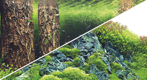 Produktbild von Hobby Fotorückwand-Zuschnitt Scaper's Hill / Scaper's Forest