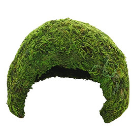 Produktbild von Hobby Jungle Cave 2 Terrariendeko - 118 g