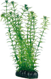 Produktbild von Hobby Lagarosiphon künstliche Aquarienpflanze 20 cm - 1 Stk.