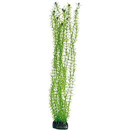 Produktbild von Hobby Lagarosiphon künstliche Aquarienpflanze 60 cm - 1 Stk.