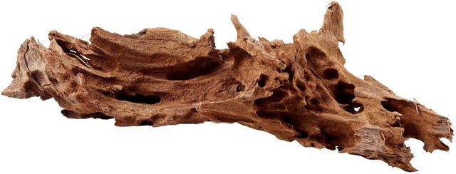 Produktbild von Hobby Mangrovenholz M 25-35cm