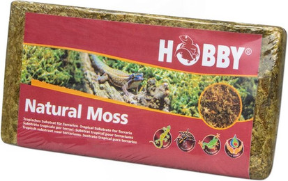 Produktbild von Hobby Natural Moss - 100 g