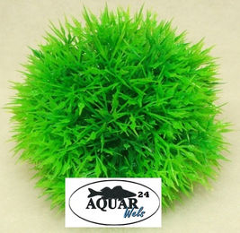 Hobby Plant Ball – Bild 1 von 2