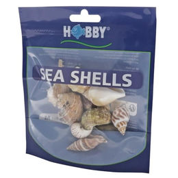 Hobby Sea Shells Set M - 10 Stk. – Bild 1 von 5