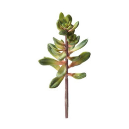 Produktbild von HOBBY Terrariendeko Kalanchoe, Höhe 20 cm