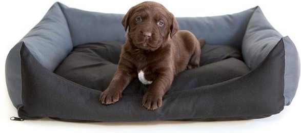 Produktbild von Hobbydog XXL LECCZG2 Hundebett Eco Größe XXL