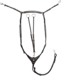 Produktbild von Hochwertiger Jagdhalsring für Pferde mit Elastik Kavalkade Dexter