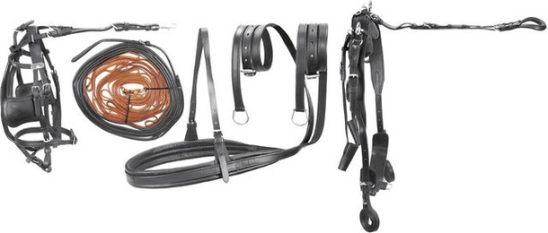 Produktbild von Hochwertiger Ledersitzgurt Umbria Equitazione