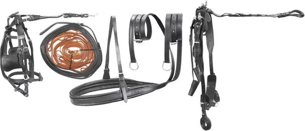 Produktbild von Hochwertiger Ledersitzgurt Umbria Equitazione