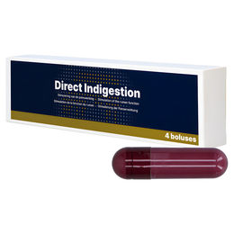 Produktbild von Hofman Animal Care Eingabepaste Indigestion, Inhalt: 4 x 76 g