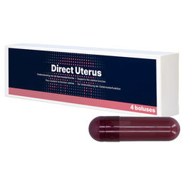 Produktbild von Hofman Animal Care Eingabepaste Uterus, Inhalt: 4 x 45 g