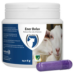 Produktbild von Hofman Animal Care Ener Bolus Schaf & Ziege
