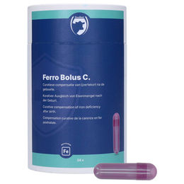 Produktbild von Hofman Animal Care Ferro Bolus C, Inhalt: 24 x 9,5 g