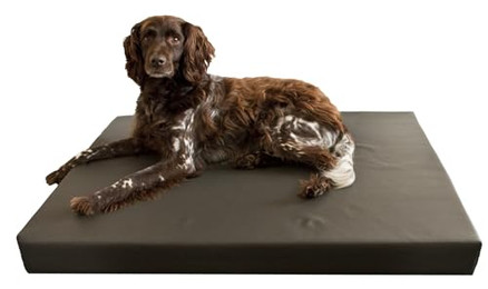 Produktbild von Holland Animal Care KUSS041 orthopädisches Hundebett Hüftdysplasie 75x100 cm