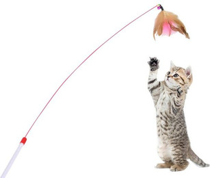Produktbild von HomeBella Tier-Beschäftigungsspielzeug Katzenspielzeug - K-01 Katzenangel Kauspielzeug, für Katzen Kitten Haustier zum Spielen Beißen Kauen