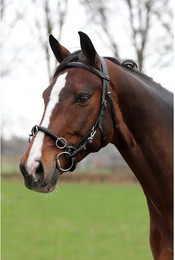 Produktbild von Horka Caveçon französisch-iberischer Kappzaum Warmblut