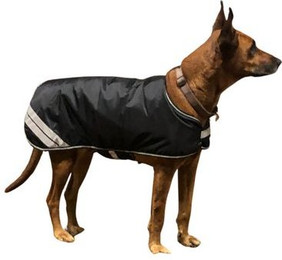 Produktbild von Horse Guard Hunde Thermodecke Regendecke mit Reflektor