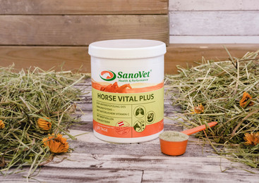 Produktbild von Horse Vital Plus