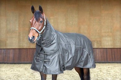Produktbild von HorseGuard Outdoordecke