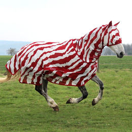 Produktbild von HorSeven BuzzOff Fullneck Zebra Fliegendecke
