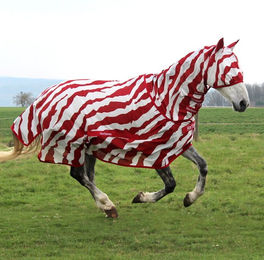 Produktbild von HorSeven BuzzOff Fullneck Zebra Fliegendecke  GRATIS KerbEX rot