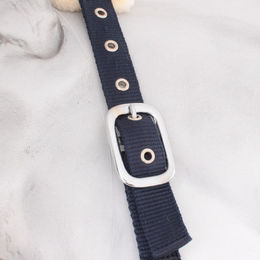 Produktbild von HorSeven Halfter mit Kunstfell