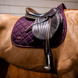 Produktbild von Horseware Alessandro Albanese Performance Jump Pad