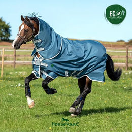 Produktbild von Horseware AmEco Bravo 12 Plus Turnout 0g - Teal/Grey
