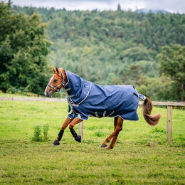 Produktbild von Horseware Amigo 1200D Plus Turnout 50g Weidedecke