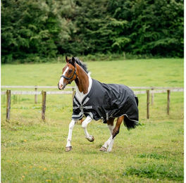Produktbild von Horseware Amigo 1200D XL Turnout 50g