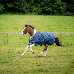 Produktbild von Horseware Amigo 1200D XL Turnout