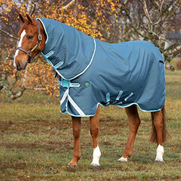 Produktbild von Horseware Amigo AmEco 12 Turnout Plus 250g - 250 g