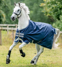 Horseware Amigo Bravo 12 Original Weidedecke Medium 250g - 250 g – Bild 1 von 6