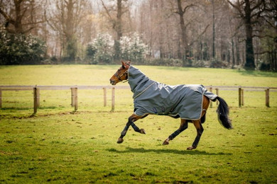 Produktbild von Horseware Amigo Bravo 12 Plus Bundle Weidedecke
