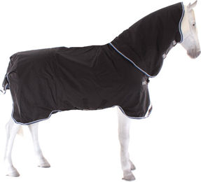 Produktbild von Horseware Amigo Bravo 12 Plus Turnout Medium 250g