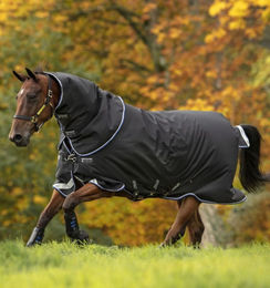 Produktbild von Horseware Amigo Bravo 12 Plus Turnout Medium 250g - 250 g