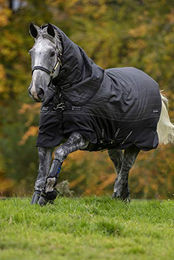 Produktbild von Horseware Amigo Bravo 12 Reflectech Plus Medium 250g - Black/Reflective & Black