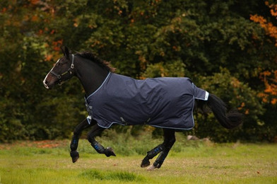 Produktbild von Horseware Amigo Bravo 12 Turnout Medium 250g - 250 g