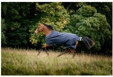 Produktbild von Horseware Amigo Bravo 12 Turnout Medium 250g - 250 g